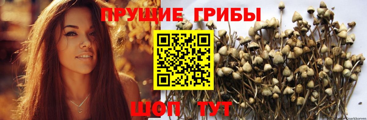 Галлюциногенные грибы MAGIC MUSHROOMS Реж