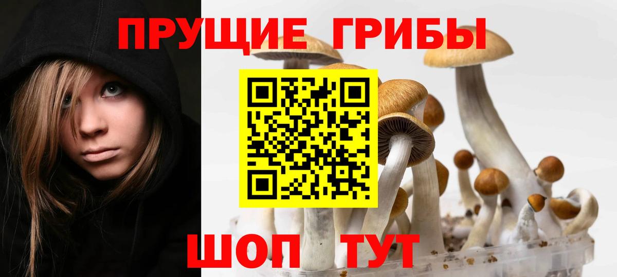 Реж  Галлюциногенные грибы GOLDEN TEACHER  Псилоцибиновые грибы мицелий  Вход с VPN 